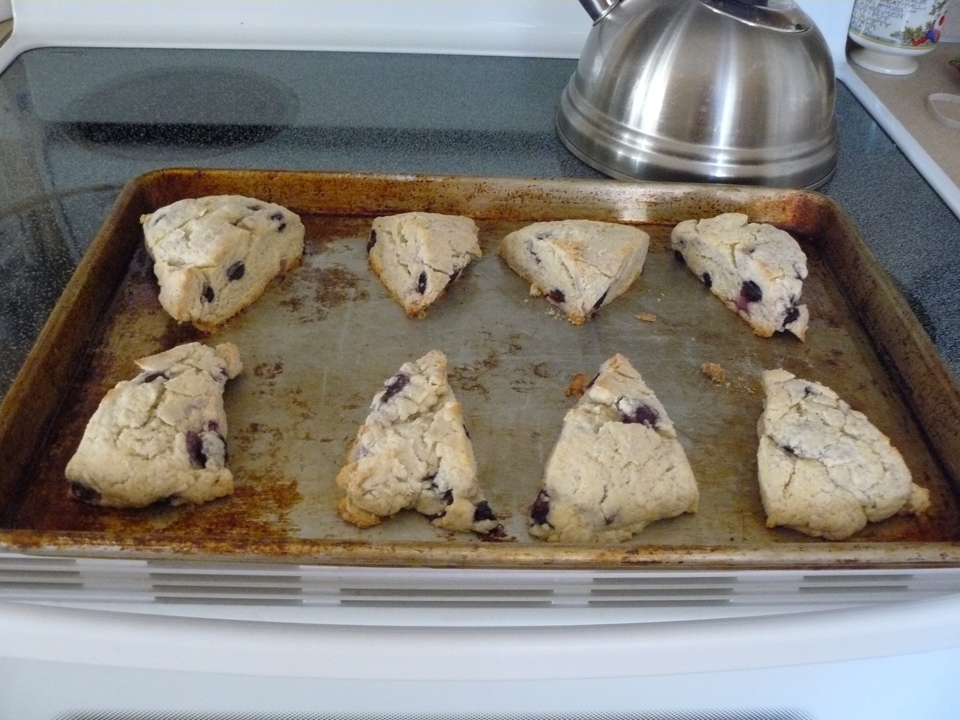 Picture of Blueberry scones